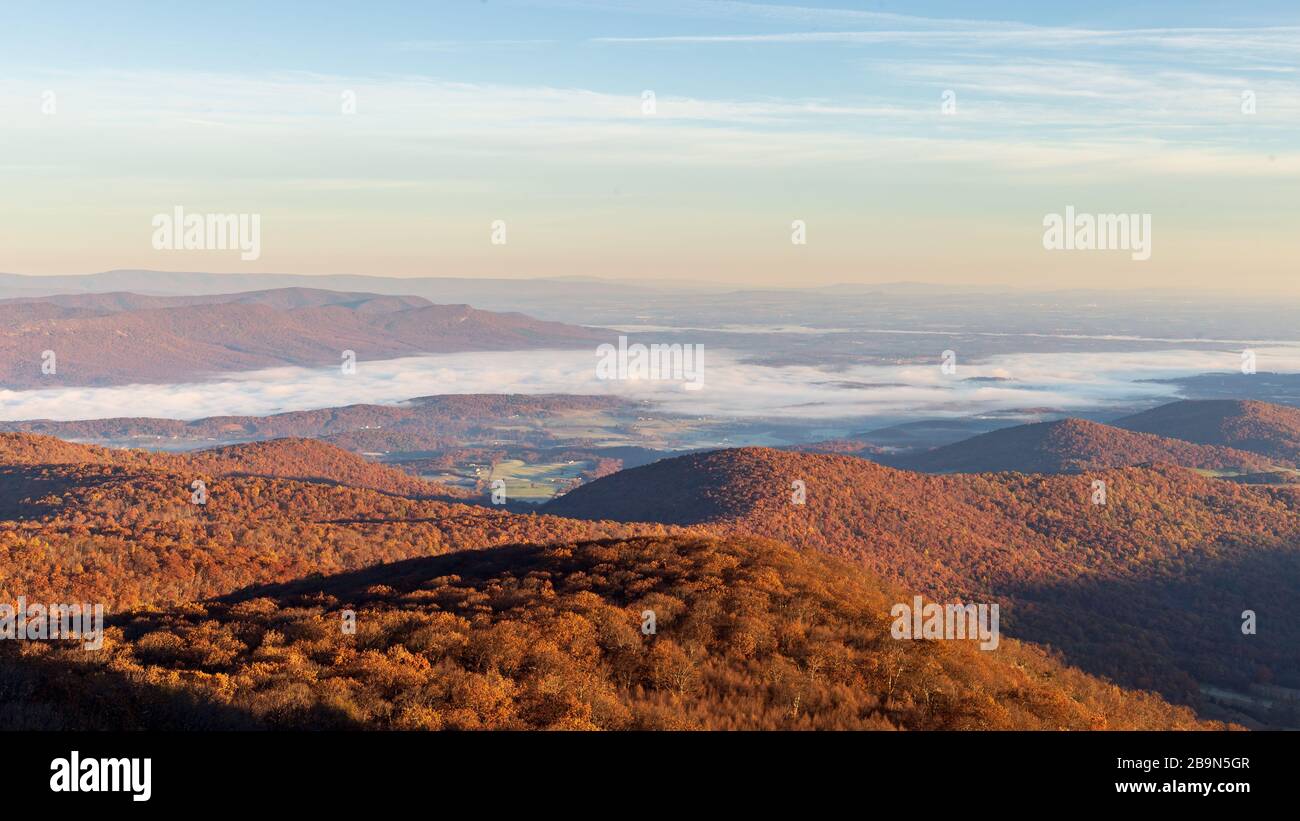 Während der Spitze der Herbstlaube senkt sich der Nebel im Tal in der Nähe des Shenandoah-Nationalparks Stockfoto