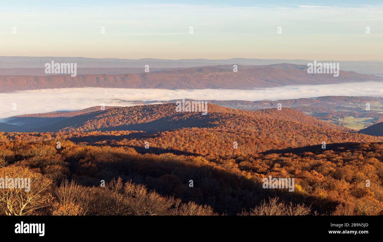 Während der Spitze der Herbstlaube senkt sich der Nebel im Tal in der Nähe des Shenandoah-Nationalparks Stockfoto