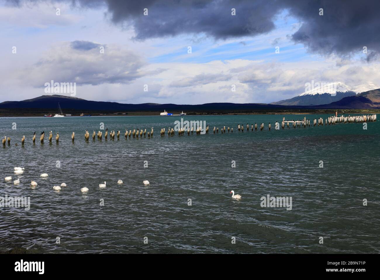 Blick auf den Golf von Admiral Montt, Puerto Natales, Patagonien, Chile, Südamerika Stockfoto