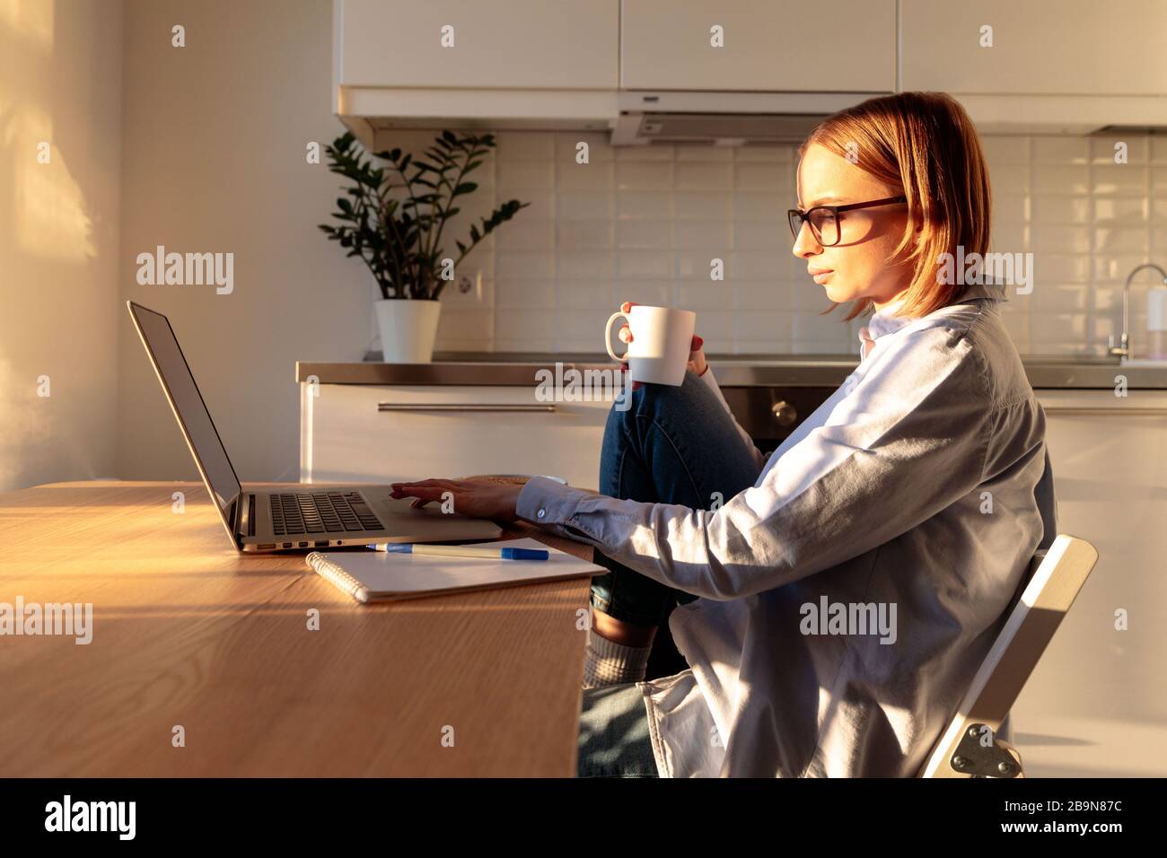 Junge Frau Freiberuflerin in Brille mit Laptop, kommuniziert im Internet mit dem Kunden im sonnigen weißen Wohnzimmer, hält Kaffee/Teebecher. Gemütliches Büro wo Stockfoto