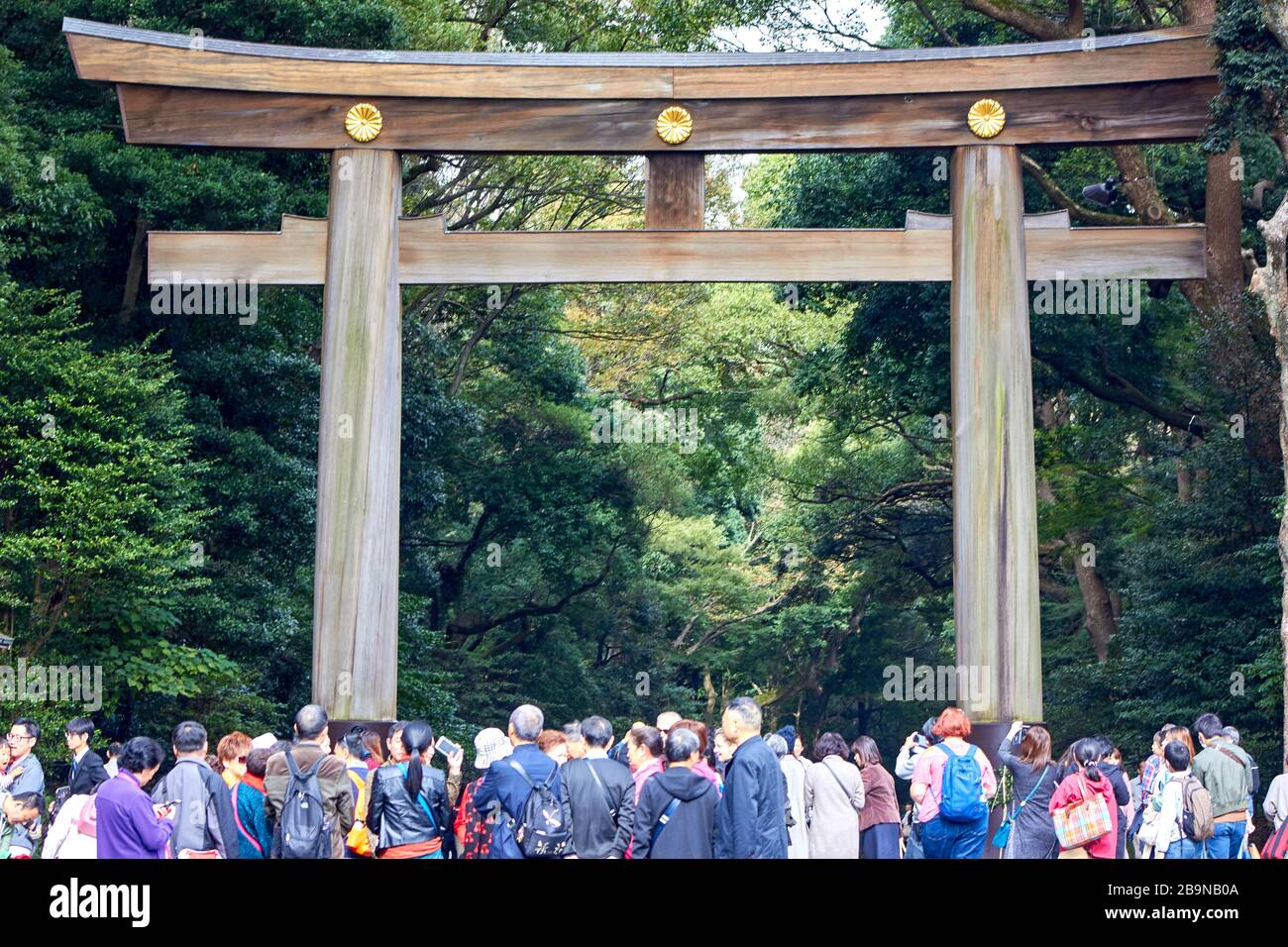 Altes Torii-Tor aus Holz, um in den Schreingrund zu gelangen Stockfoto