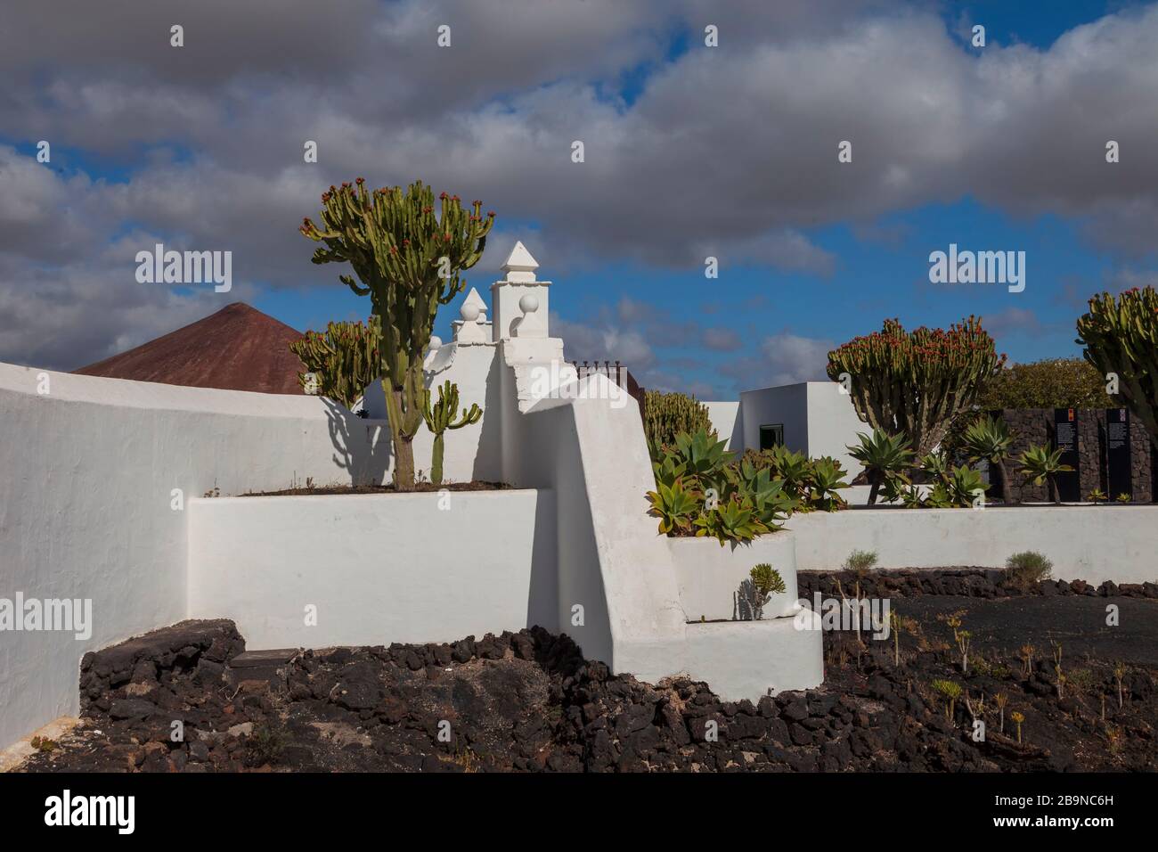 Vulkanlandschaft auf der Insel Lanzarote. Felder von Lava.Los Jameos del Agua, Werk von Cesar Manrique, lokaler Künstler.Lanzarote. Kanarische Inseln.Spanien. Stockfoto