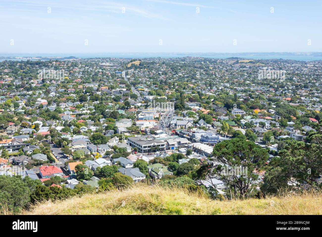 Blick auf die Vorstadt Epsom vom Gipfel Mount Eden (Maungawhau), Mount Eden, Auckland, Neuseeland Stockfoto