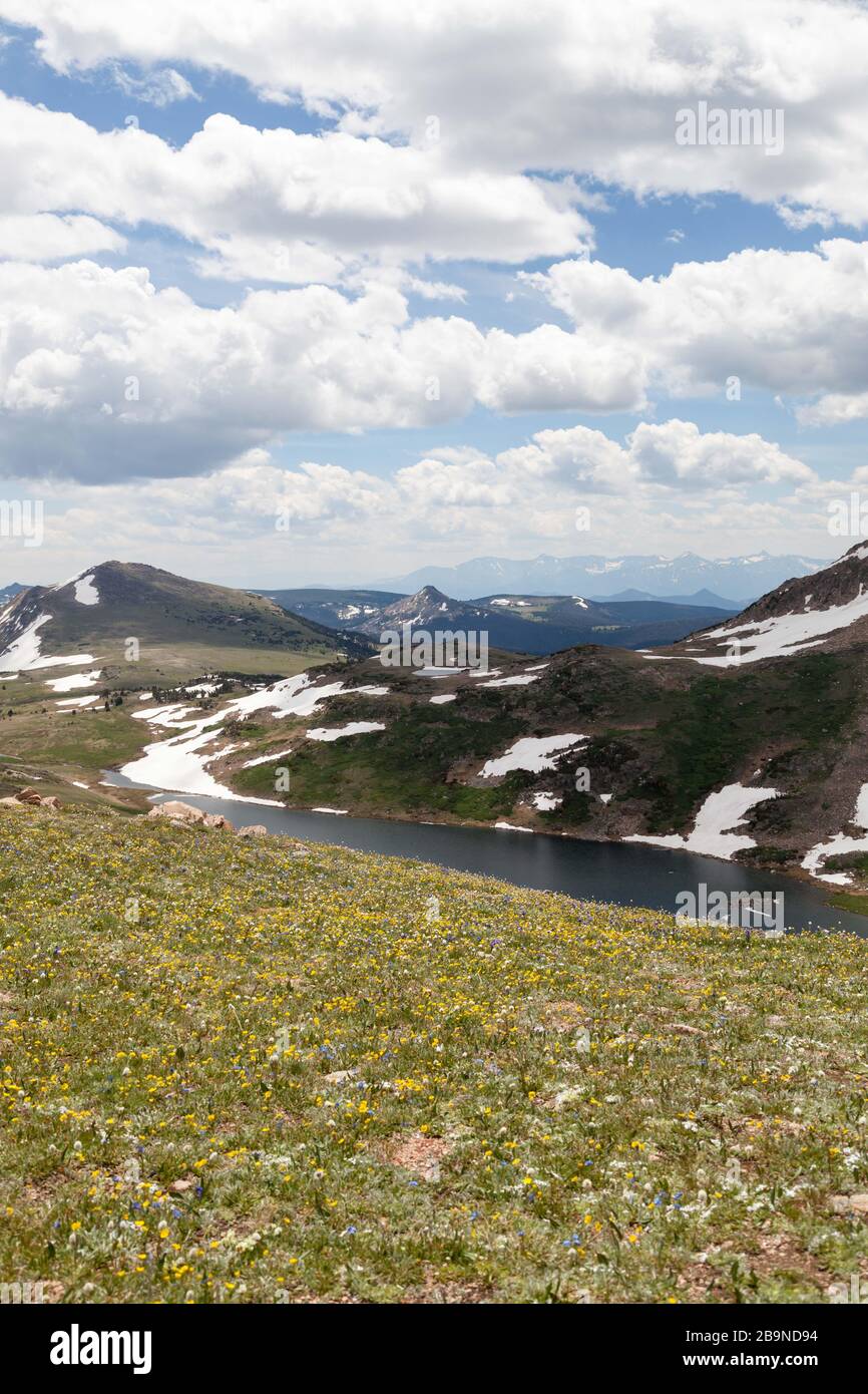 Gardner Lake tief in einem Tal zwischen einem steilen Berg mit Schneedecken und einem abschüssigen Hügel, der von Wildblumen bedeckt ist. Stockfoto