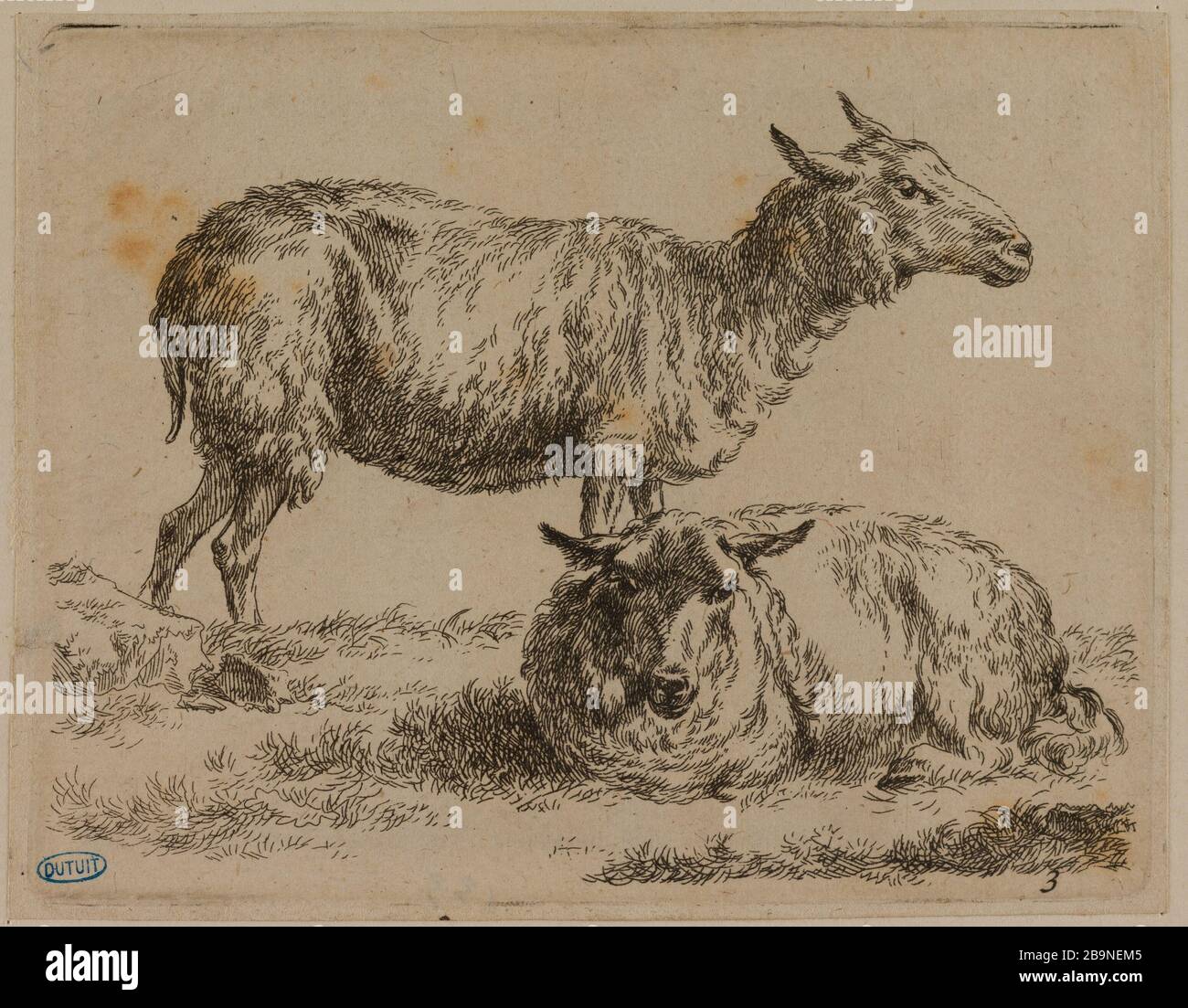 Ein aufrechtes Schaf und ein Schaf liegen (Hollstein 31) Berchem, Nicolaes Pietersz. "UN mouton debout et un mouton couché (Hollstein 31)". Eau-forte. Musée des Beaux-Arts de la Ville de Paris, Petit Palais. Stockfoto