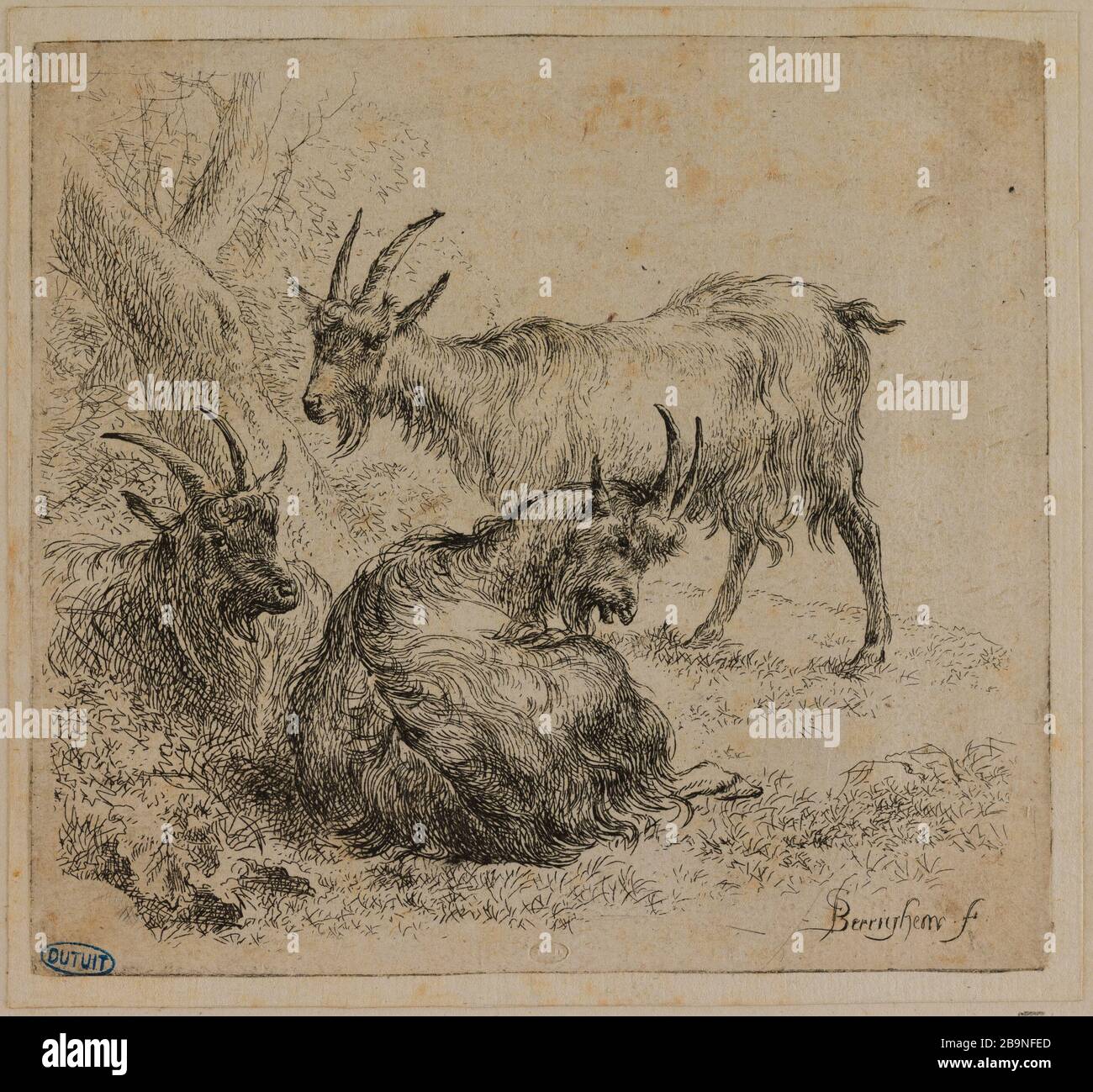 Drei Ziegen (Hollstein 50) Berchem, Nicolaes Pietersz. "Trois chèvres (Hollstein 50)". Eau-forte. Musée des Beaux-Arts de la Ville de Paris, Petit Palais. Stockfoto