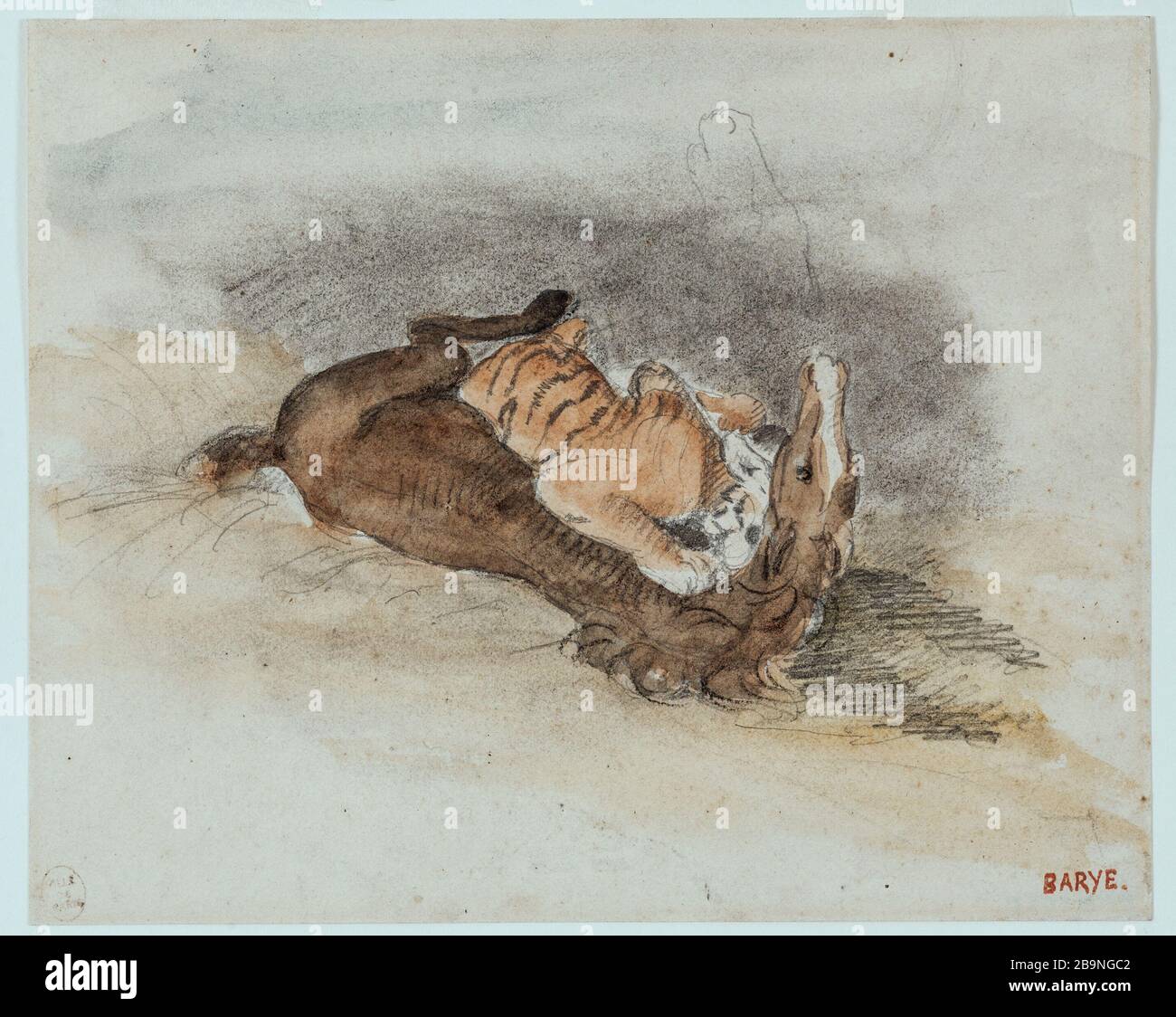 Tiger verschlingt ein Pferd Anteine-Louis Barye (1796-1875). Tigre dévorant un cheval. Mine de plomb et aquarelle. Musée des Beaux-Arts de la Ville de Paris, Petit Palais. Stockfoto