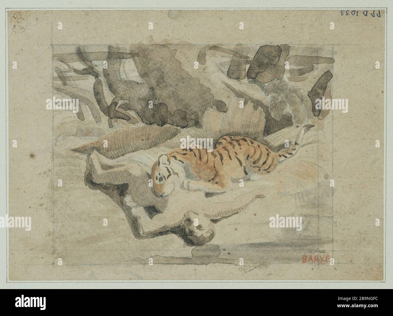 Tiger verschlingt einen Mann von Anteine-Louis Barye (1796-1875). Tigre dévorant un homme. Aquarelle et Mine de plomb. Musée des Beaux-Arts de la Ville de Paris, Petit Palais. Stockfoto