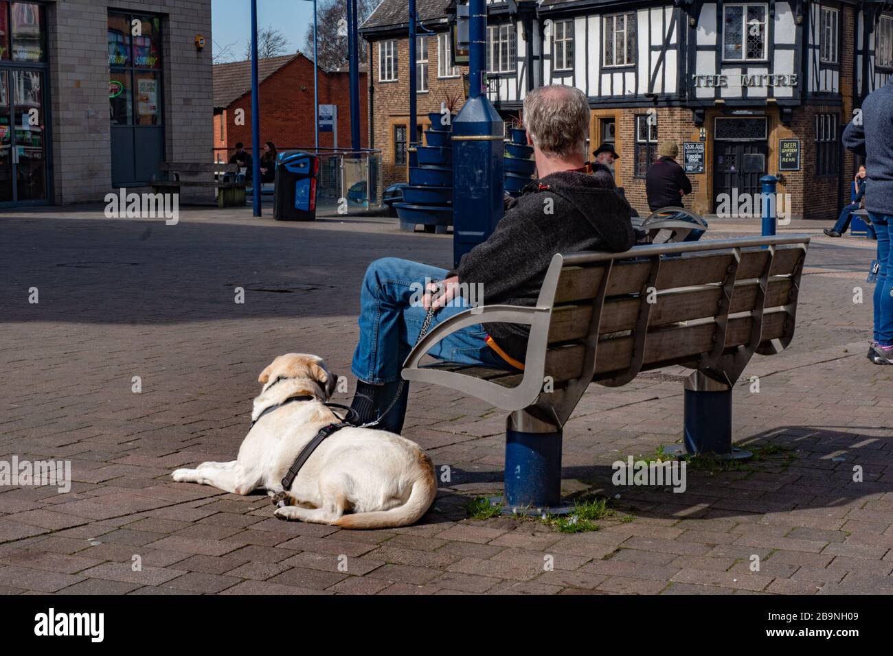 Mann sitzt auf der Bank, der Hund liegt neben ihm. Stourbridge. West Midlands. Stockfoto