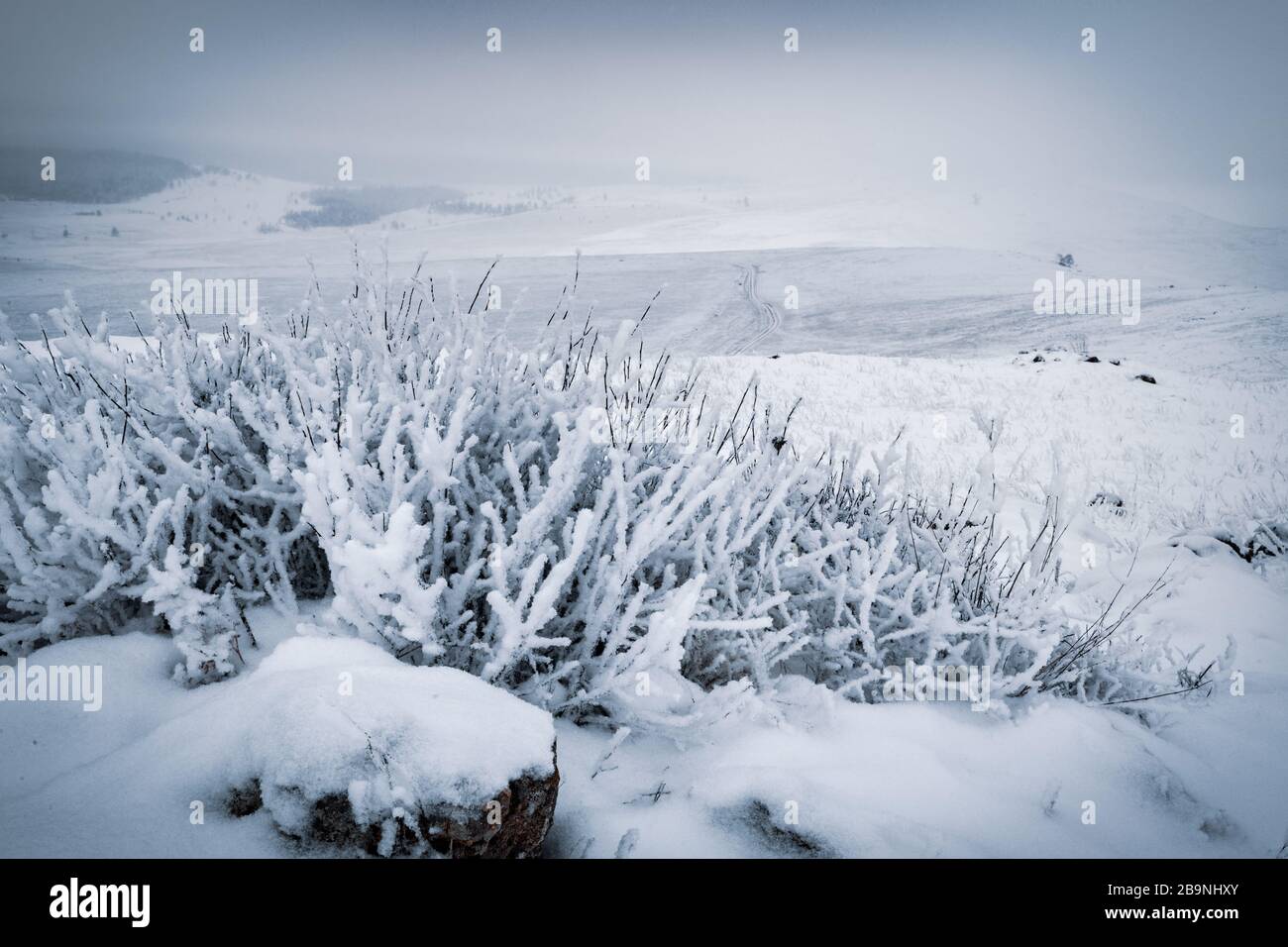 Sibirische Landschaft im Winter in der Nähe des Baikalsee, Russland Stockfoto