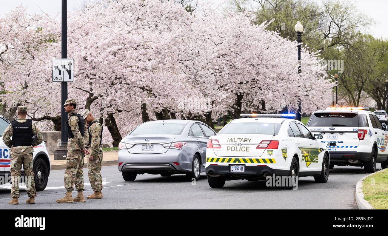 Sicherheitsbeamte im Washington DC Tidal Basin während Cherry Blossom.The Metropolitan Police Department, ergänzt durch einige Mitglieder der Washington DC National Guard, Richten Sie einen Umkreis um das Tidal Basin ein, um soziale Distanzierungen durchzusetzen, indem Sie die Menschen von den Bäumen fernhalten, damit die Menschen dort nicht wie in früheren Tagen verdrängen würden. Stockfoto