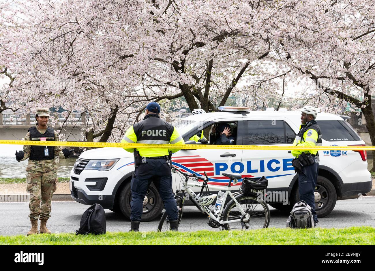 Sicherheitsbeamte im Washington DC Tidal Basin während Cherry Blossom.The Metropolitan Police Department, ergänzt durch einige Mitglieder der Washington DC National Guard, Richten Sie einen Umkreis um das Tidal Basin ein, um soziale Distanzierungen durchzusetzen, indem Sie die Menschen von den Bäumen fernhalten, damit die Menschen dort nicht wie in früheren Tagen verdrängen würden. Stockfoto