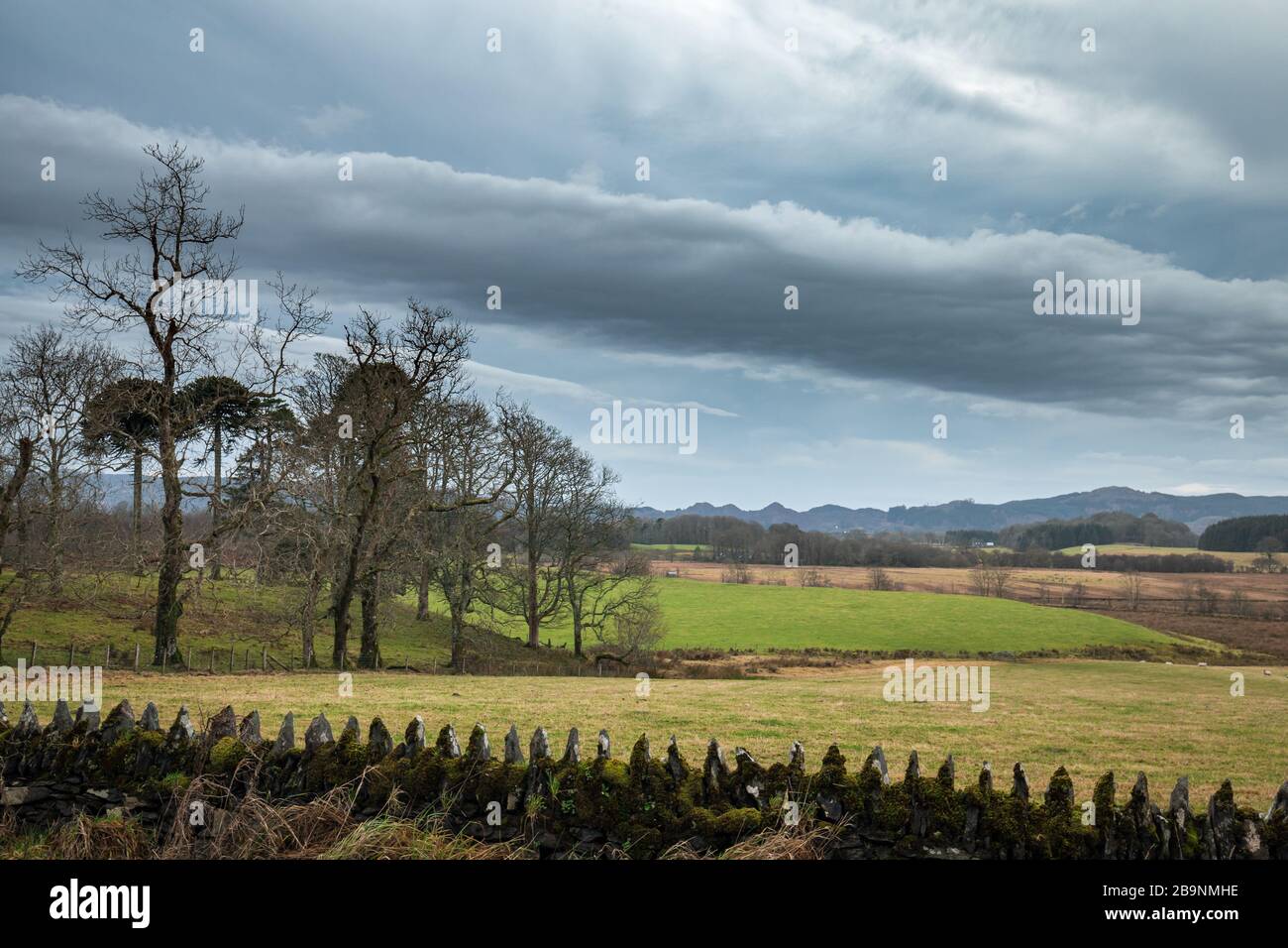 Bauernfelder an der Westküste Schottlands - Blick über Schiefer Zaun Stockfoto