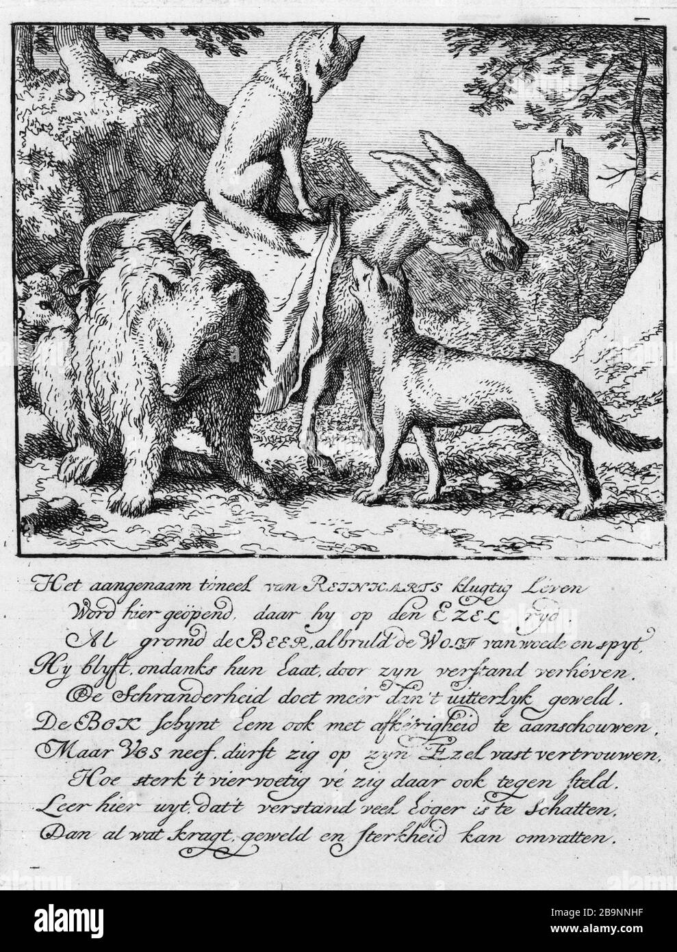 ILLUSTRATIONEN FÜR ROMAN FOX: 1650/1655 ZU: TITEL: DER FUCHS MONTIERTE NSA, DER SICH NACH RECHTS BEWEGT, IST UMGEBEN VON EINEM WOLF, EINEM BÄREN UND EINEM HAMMER Allaert van Everdingen (1621-1675), Peintre, dessinateur et graveur hollandais. Illustrationen für "Roman de Renard" : vers 1650/1655 : titer : Le renard monté sur un âne qui se dirige vers la droite est entouré d'un loup, d'un ours et d'un bélier. Eau-forte. Musée des Beaux-Arts de la Ville de Paris, Petit Palais. Stockfoto