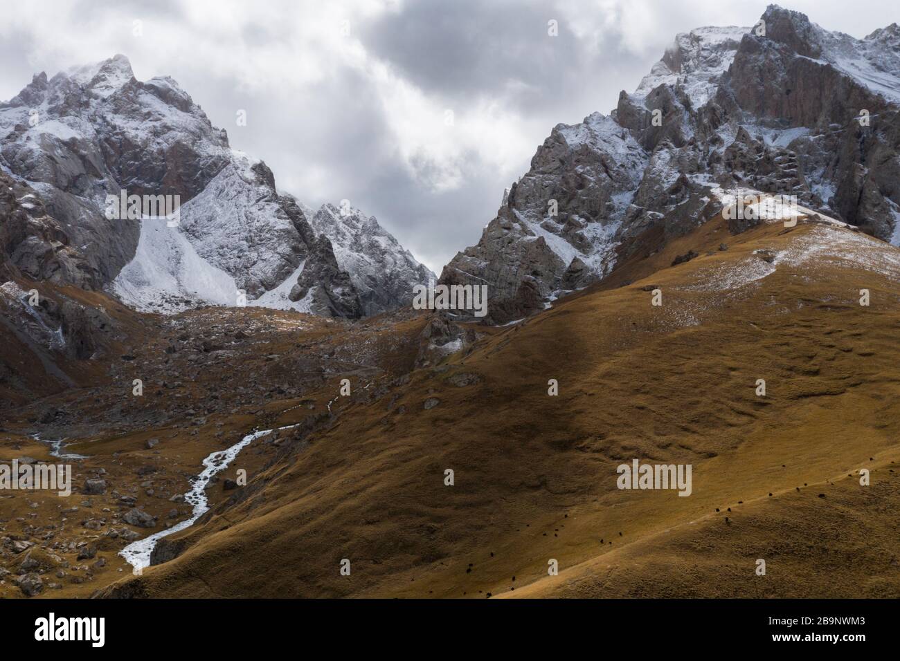 Blick auf die Winterlandschaft von Kol Suu mit Weidejaks. Köln-Suu (Kirgisisch: Көлсуу) ist ein alpiner See im At-Bashi-Distrikt der Provinz Naryn von Stockfoto