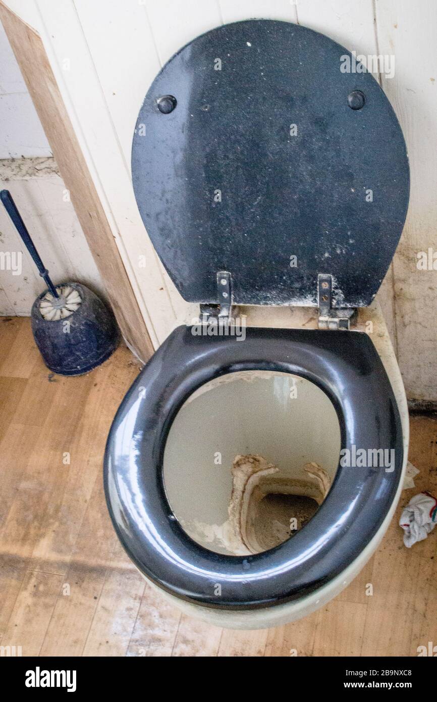 Sehr schmutzige toilette mit schwarzem Sitz und Deckel, viel Kalkablagerungen in ausgetrockneter toilettenwanne. Verworfene Socke, schmutzige toilettenbürste und befleckte Wände und Fußboden. Stockfoto