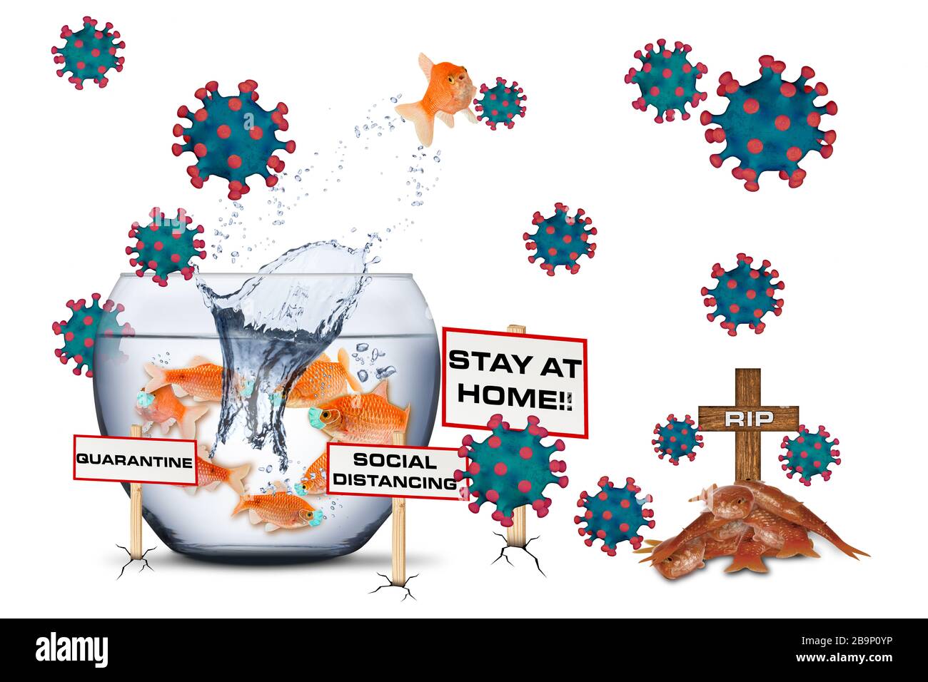 Coronavirus Goldfish Bowl bleiben Sie zu Hause Quarantänekonzept. Fisch mit Atemschutzmaske. Corna Virus globale Epidemie bei Ausbruch der Pandemie med Stockfoto
