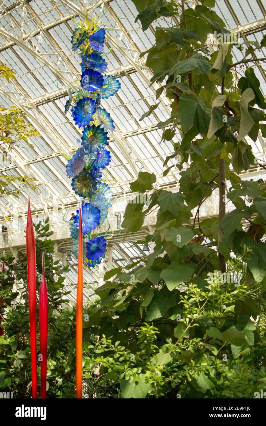 Gemäßigte House Perser. Große blaue Glasskulptur von Dale Chihuly, die vom Dach des viktorianischen gemäßigten Hauses hängt, Kew Gardens unter Pflanzen Stockfoto