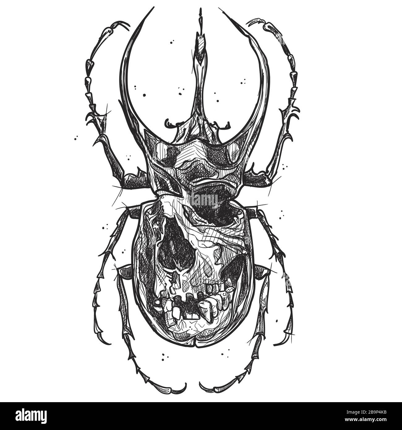 Käfer mit Schädel im grafischen Stil Stockfoto