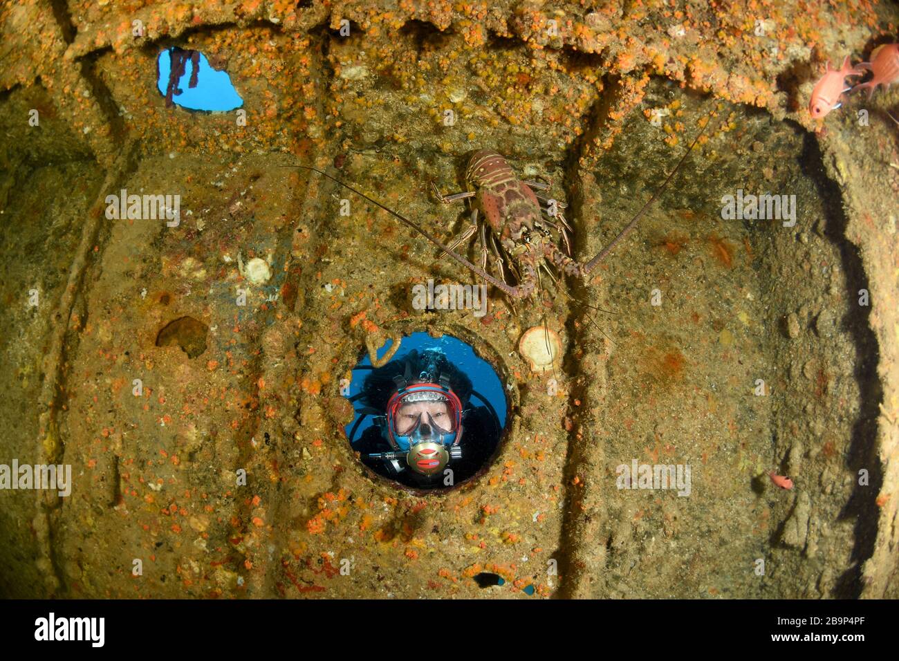 Unterwasseraufnahmen von Tauchern und Meereslebewesen beim Tauchen in einigen Schiffswracks rund um St. Maarten, Karibik Stockfoto