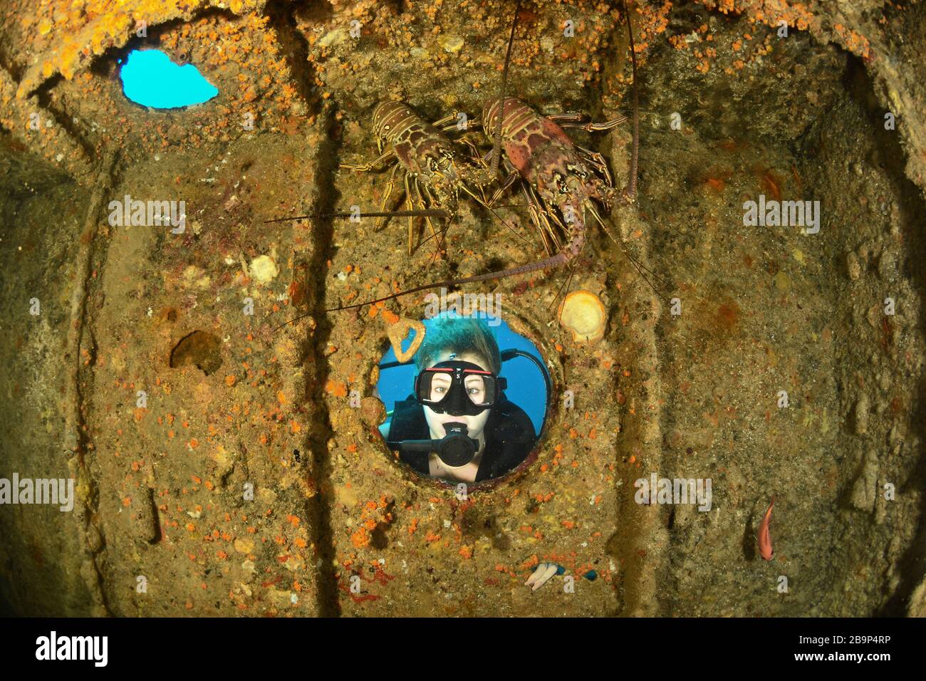 Unterwasseraufnahmen von Tauchern und Meereslebewesen beim Tauchen in einigen Schiffswracks rund um St. Maarten, Karibik Stockfoto