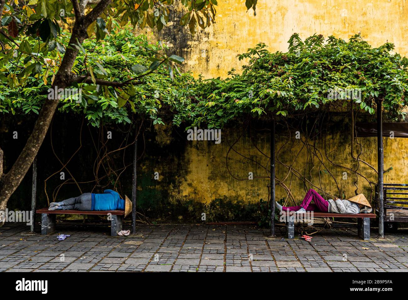 Zwei Personen schlafen auf den Bänken in Hoi an, mit den berühmten gelben Wänden auf dem Hintergrund, einem Straßenfoto aus Vietnam. Stockfoto