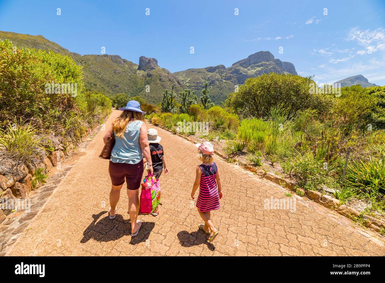 Touristen erkunden den Kirstenbosch National Botanical Garden in Kapstadt-Südafrika. Stockfoto