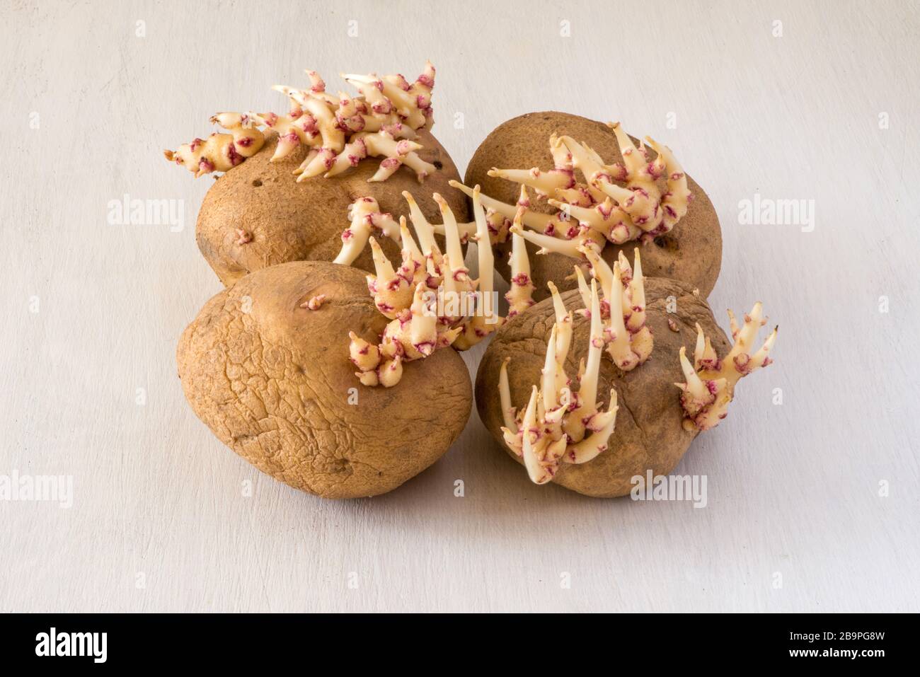 Kartoffelspüree auf einem weißen rustikalen Holztisch Stockfoto