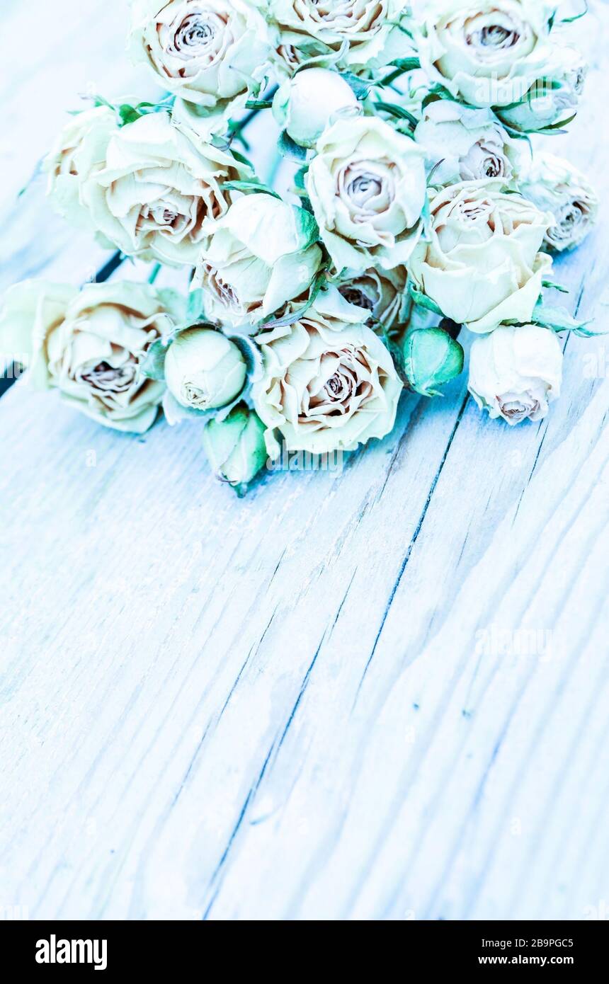 Abstrakter Feiertagsrahmen mit getrockneten Rosen auf alten Holzplatten. Stockfoto
