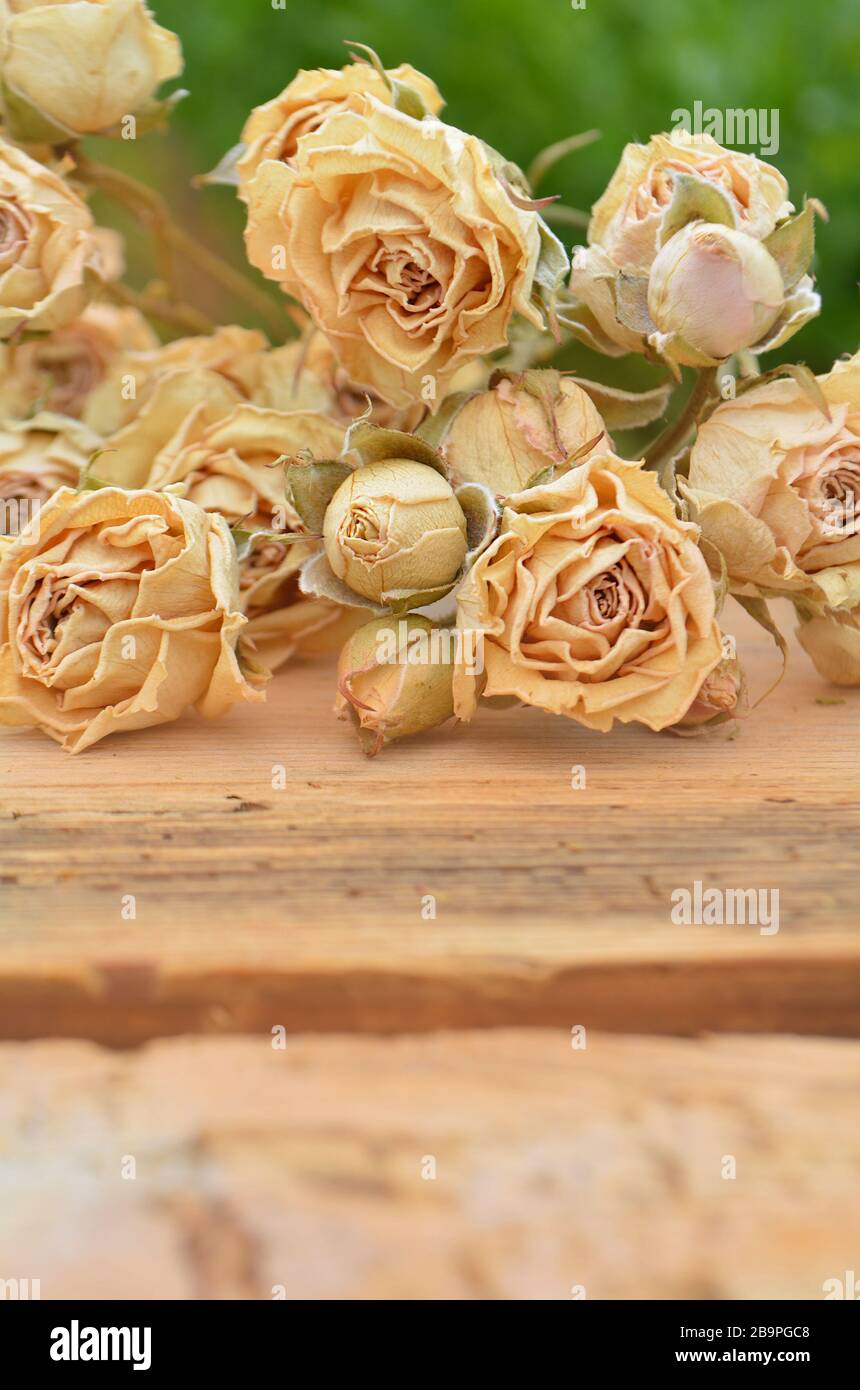 Abstrakter Feiertagsrahmen mit getrockneten Rosen auf alten Holzplatten. Stockfoto