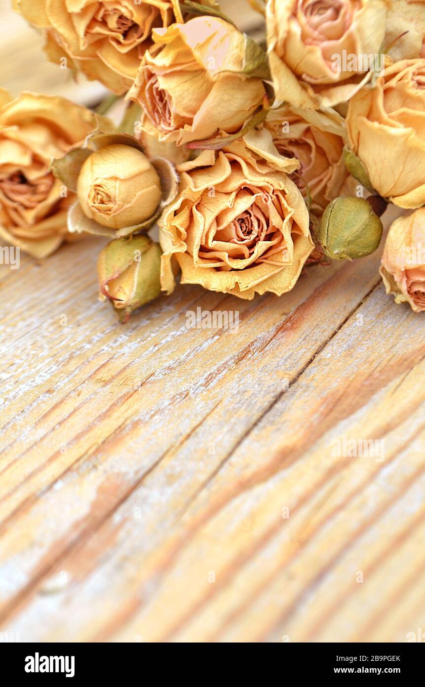 Abstrakter Feiertagsrahmen mit getrockneten Rosen auf alten Holzplatten. Stockfoto
