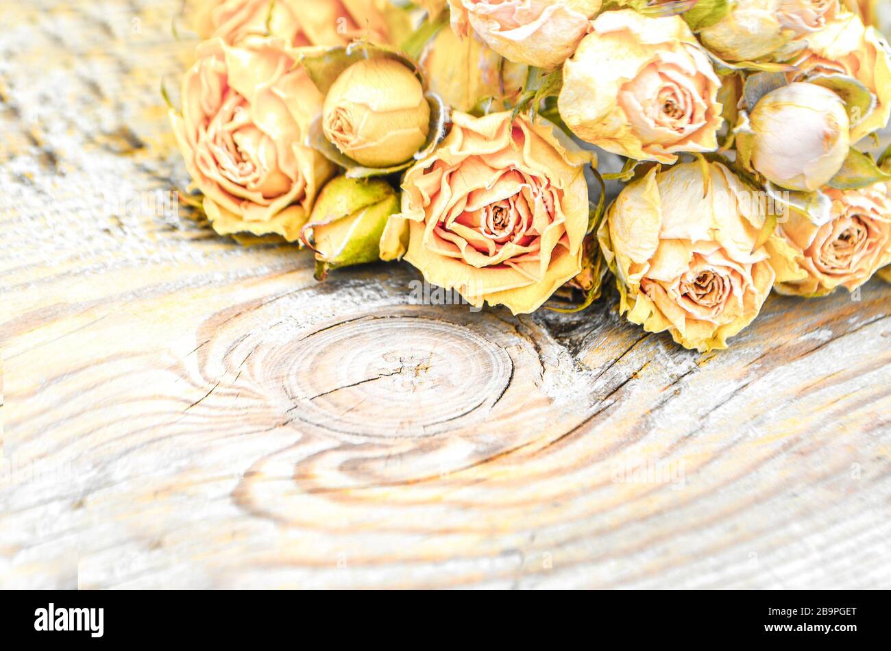 Abstrakter Feiertagsrahmen mit getrockneten Rosen auf alten Holzplatten. Stockfoto