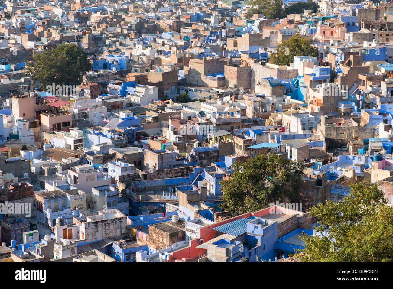 Blick auf Blue City Jodhpur Rajasthan Indien Stockfoto
