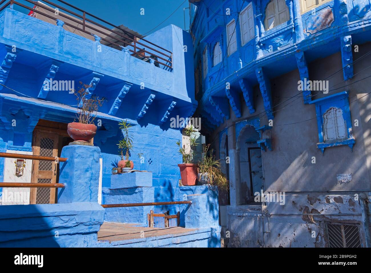 Blue City Jodhpur Rajasthan Indien Stockfoto