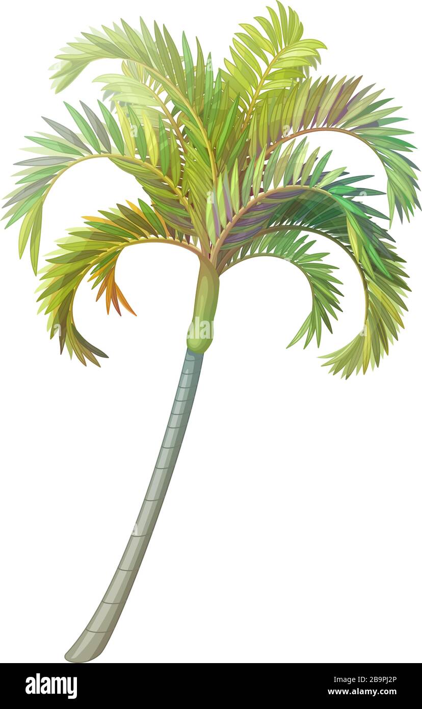 Handgezeichnete Pflanzenklippenkunst von Vektor im Handformat zwischen Palmen Stock Vektor