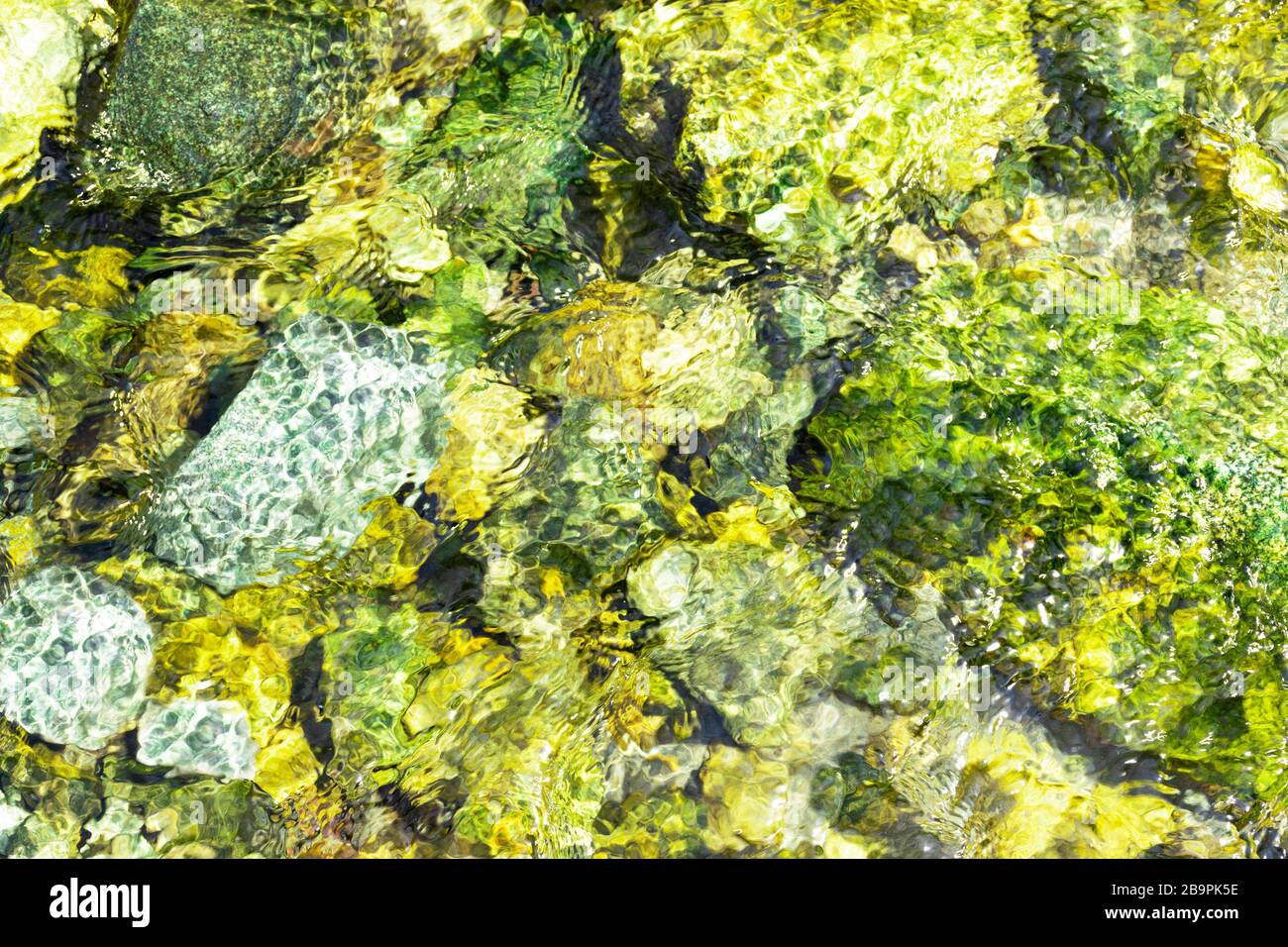 Steine unter Wasser mit grünem Schlamm bedeckt. Gebirgsfluss. Wasser wellt. Stockfoto