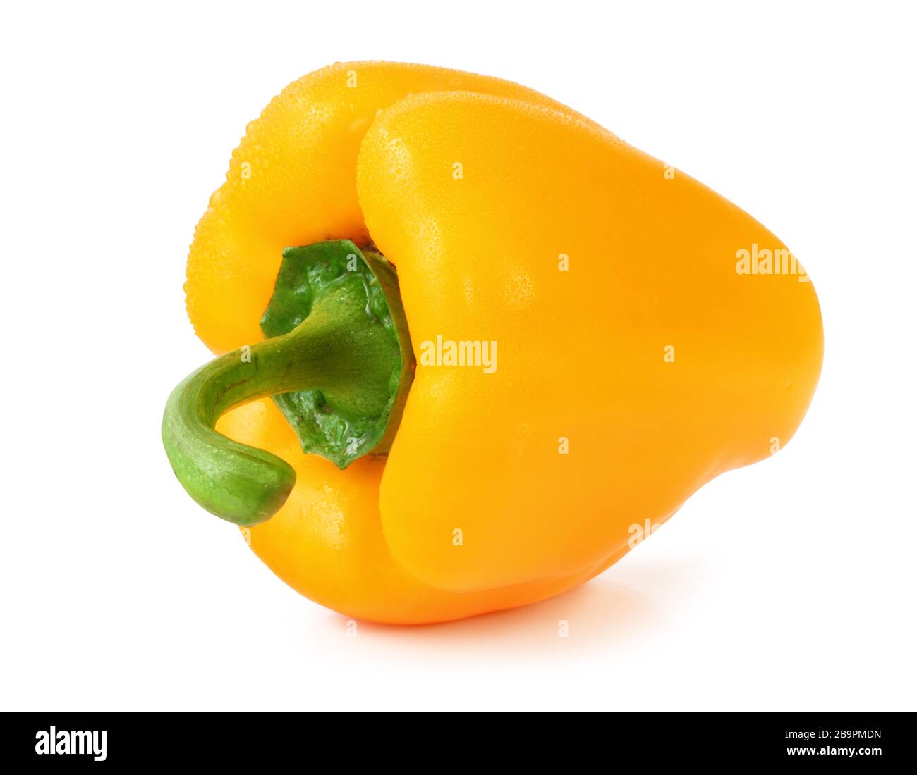 Frischer Paprika (Capsicum) mit Wassertropfen isoliert auf weißem Hintergrund, einschließlich Beschneidungspfad ohne Schatten. Deutschland frisch Paprika mit Wassertrop Stockfoto