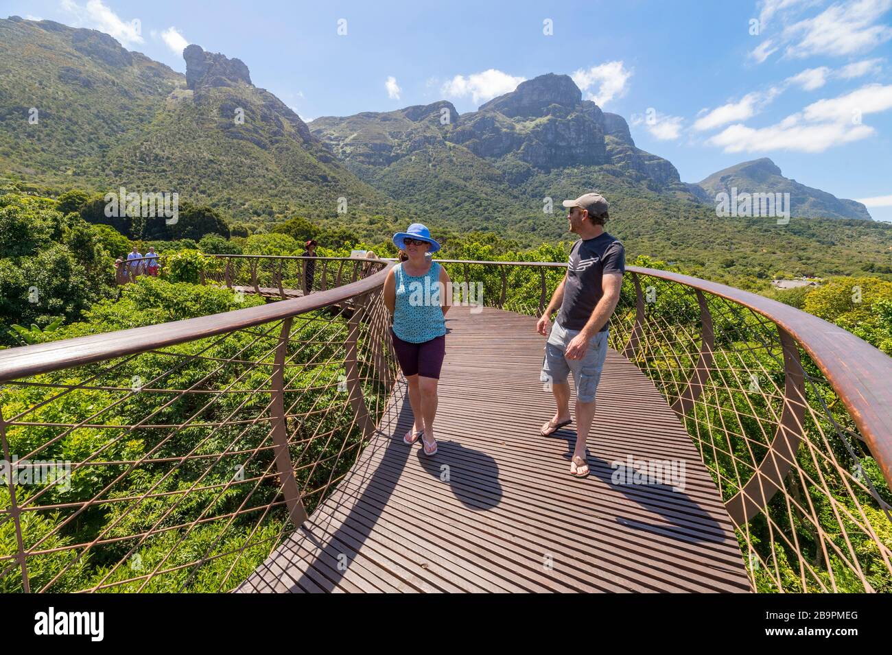 Kirstenbosch Baumbedachungs-Gehweg Der Centenary Tree Baumbedachungs-Gehweg Stockfoto