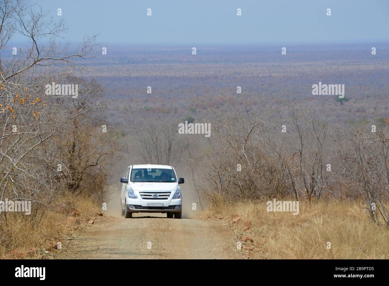 Weißes Kleinbus mit Selbstfahrhilfe, das eine Schotterstraße im Kruger National Park in Südafrika mit einem unendlichen Buschhorizont hinter sich aufklettert Stockfoto