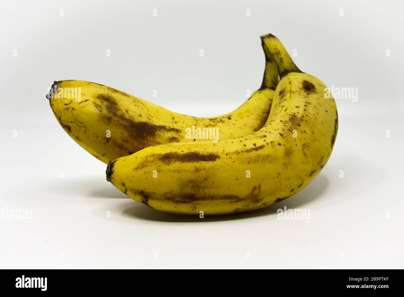 Leicht überreife Bananen. Sie sind noch für den Verbrauch geeignet. Ein Beispiel für Lebensmittel, die nicht verschwendet werden, die im Laden entsorgt würden Stockfoto