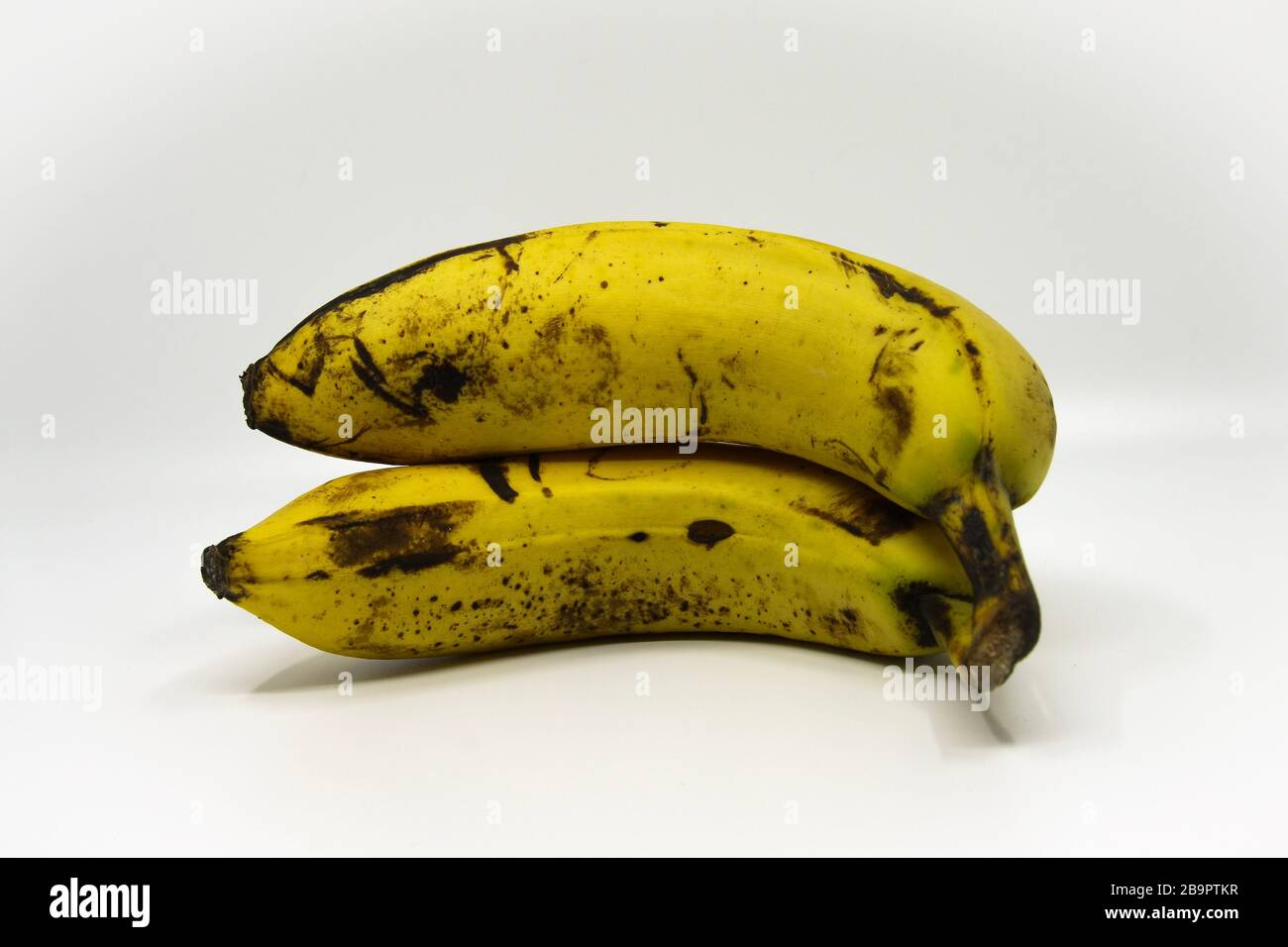 Leicht überreife Bananen. Sie sind noch für den Verbrauch geeignet. Ein Beispiel für Lebensmittel, die nicht verschwendet werden, die im Laden entsorgt würden Stockfoto