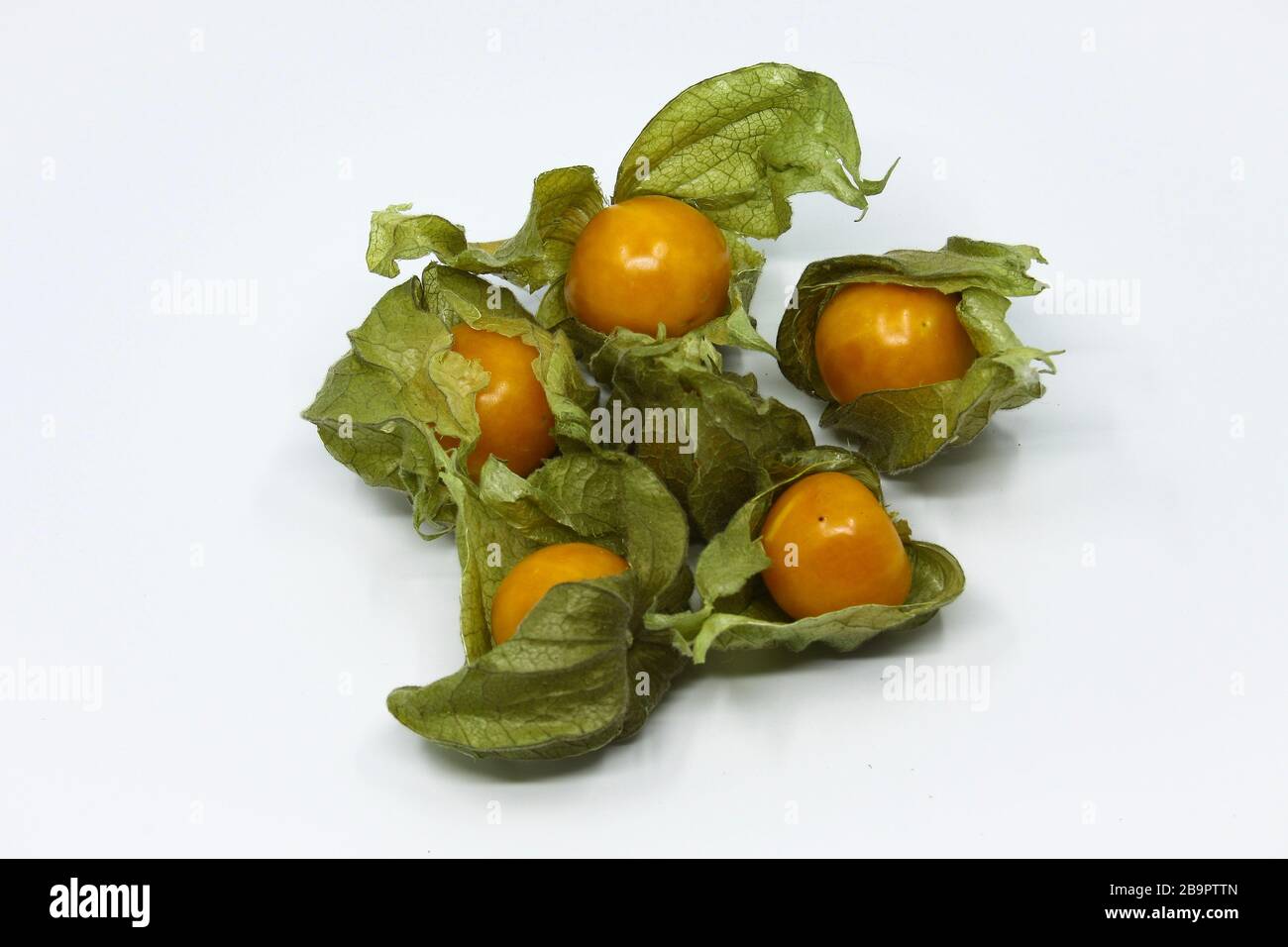 Gruppe der Physalis, kap-gänsebeere fuits in verschiedenen Formen. Reife Fuits mit satten Farben. Stockfoto