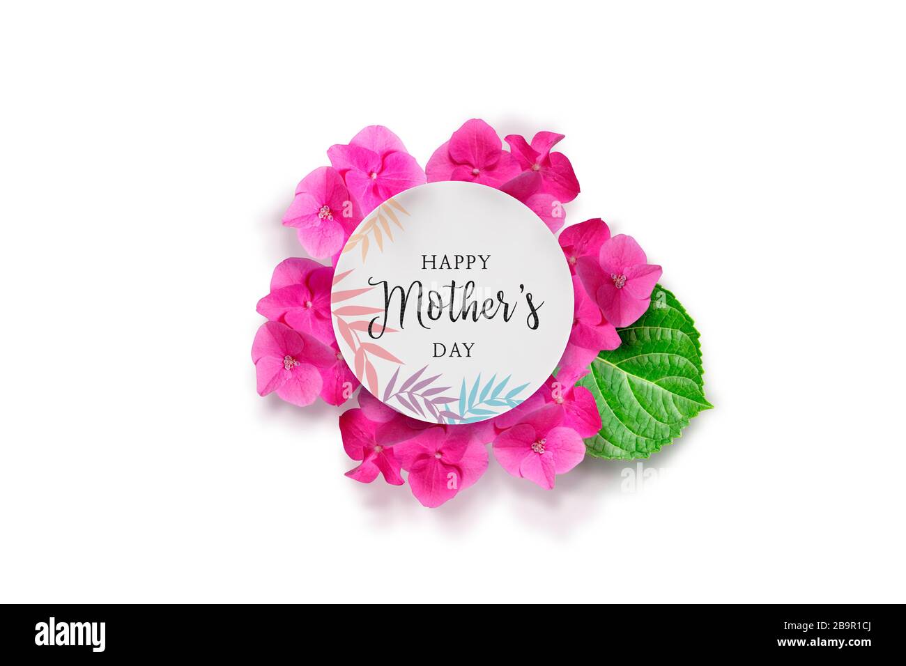 Hydrangea Blume editierbares Design Stockfoto