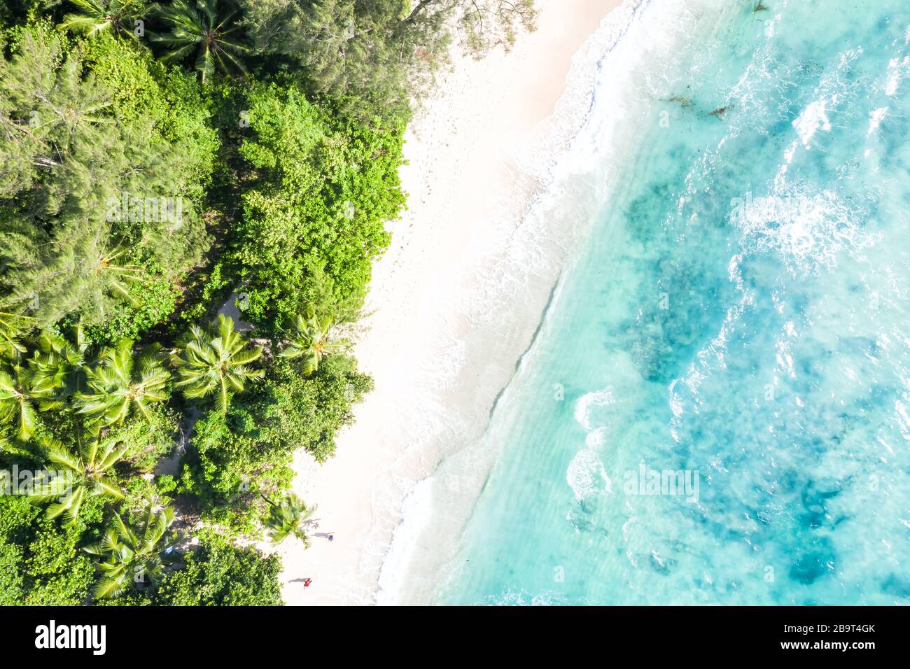 Seychelles Luftbild Takamaka Strand Mahe Insel Natur Urlaubsparadies Ozean Drohnenblick Fotografie Stockfoto