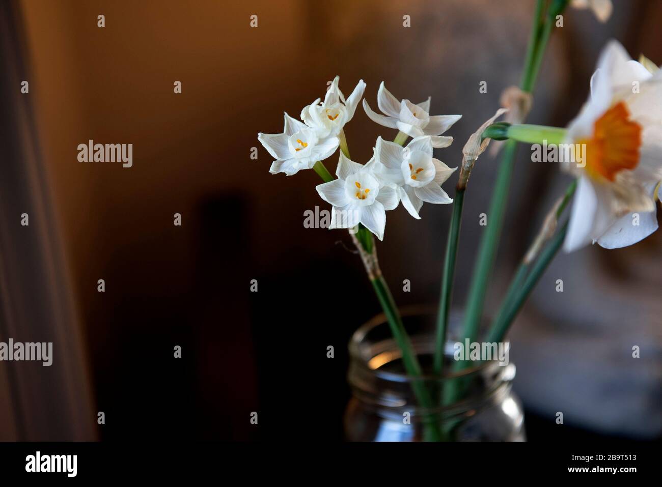 Frühling Blumen Stockfoto