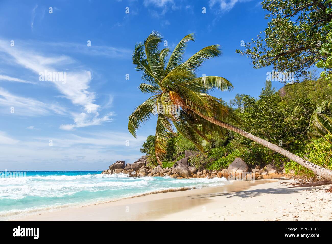 Seychellen Anse Georgette Strand Praslin Insel Palmenurlaub Paradies Meer Wasser Stockfoto