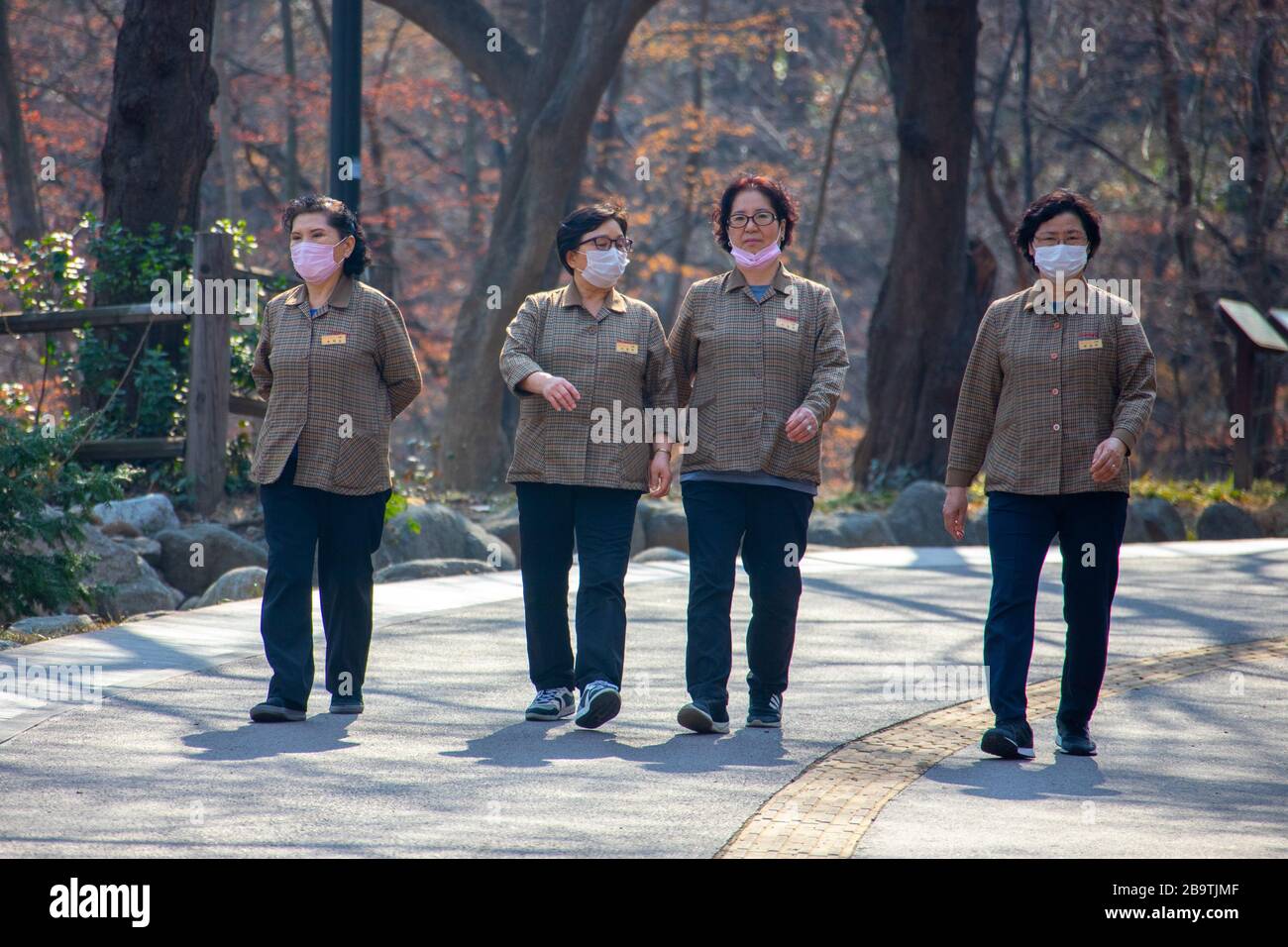 Frauen, die während der Pandemie von Coronavirus, Seoul, Südkorea, Schutzmasken tragen Stockfoto