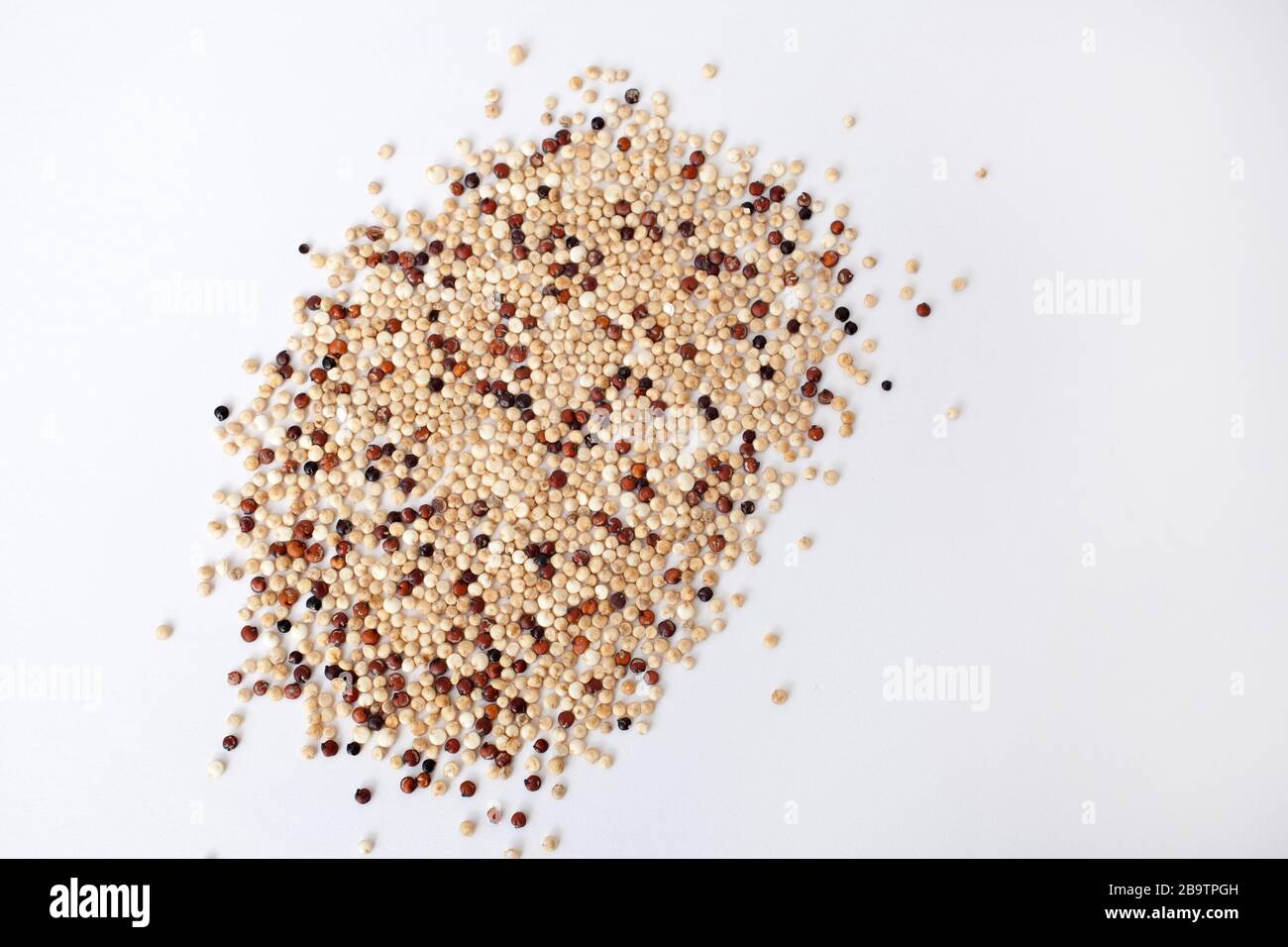 Quinoa vor einem weißen Studiohintergrund Stockfoto