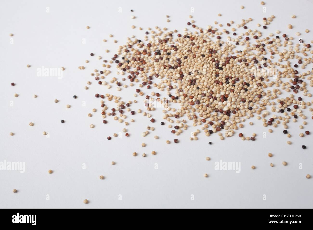 Quinoa vor einem weißen Studiohintergrund Stockfoto