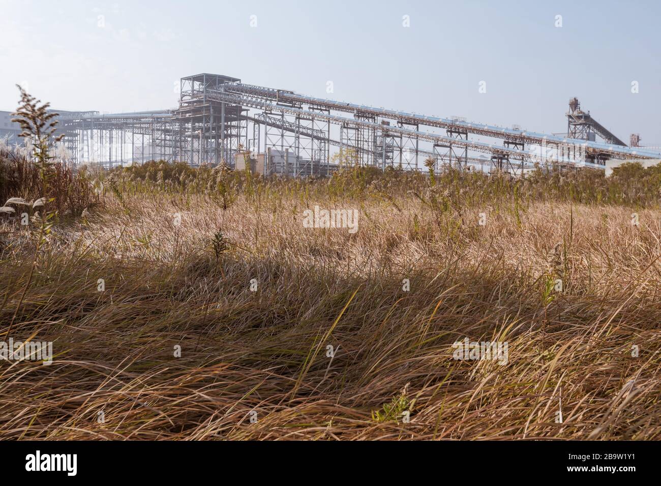 Verwelkte Gras- und Industriegebäude Stockfoto